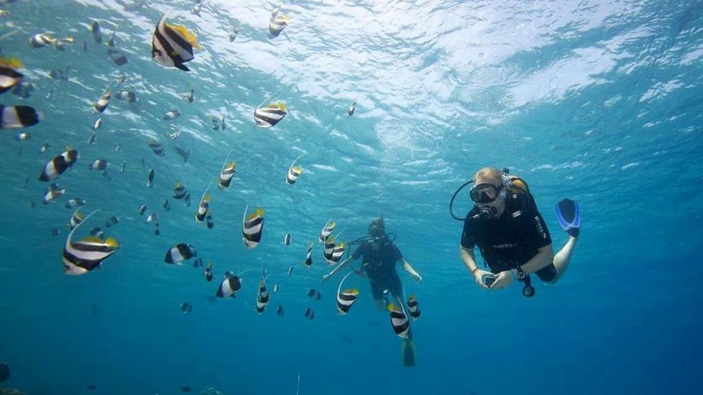 Отель Batuta Maldives Surf View Тулусду Экстерьер фото